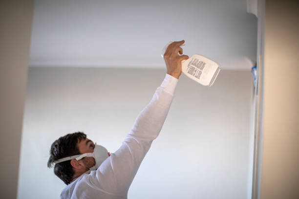 Best Office Mold Removal Services  in Whitewright, TX