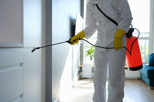 Certified Mold Removal in Whitewright, TX